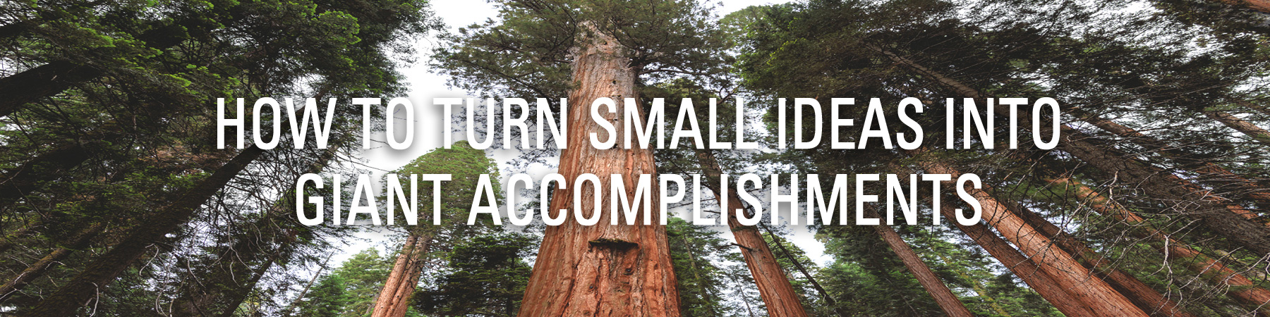 How to Turn Small Ideas Into Giant Accomplishments