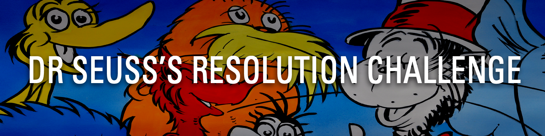 Dr Seuss’s Resolution Challenge